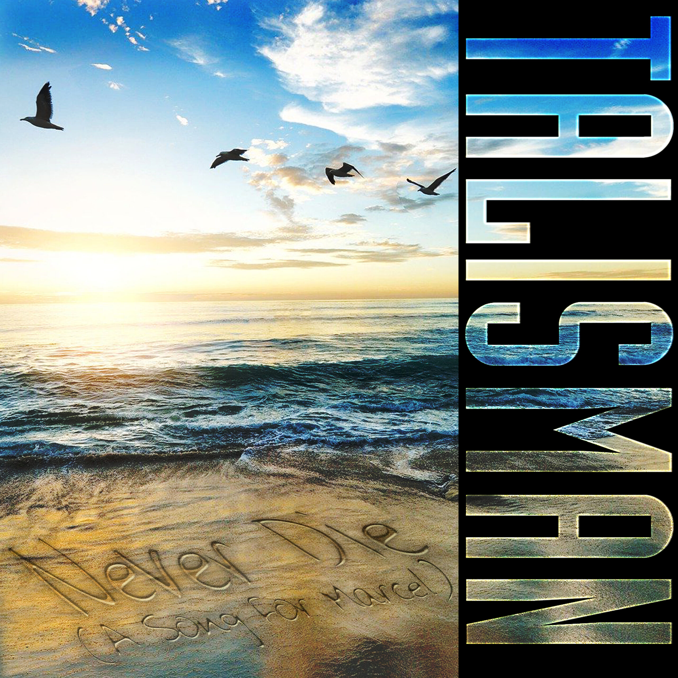 talisman neverdie 30cm(hires)